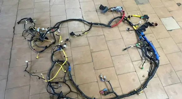 KIA EV6 Left interior wiring harness 91513CV461 36815