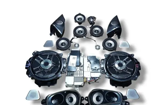 BMW XM Audio system kit 5A52E25 65125A52E25 5A3F6D4