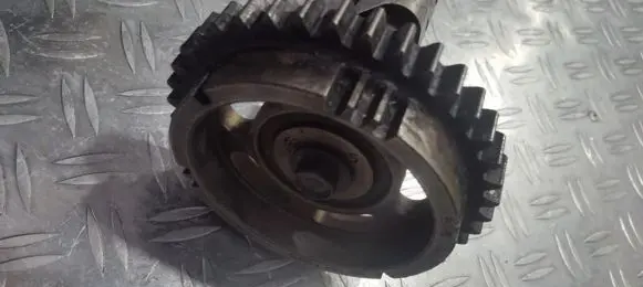 Camshaft pulley/ VANOS