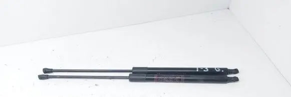 Toyota C-HR I Tailgate strut 68950F4062