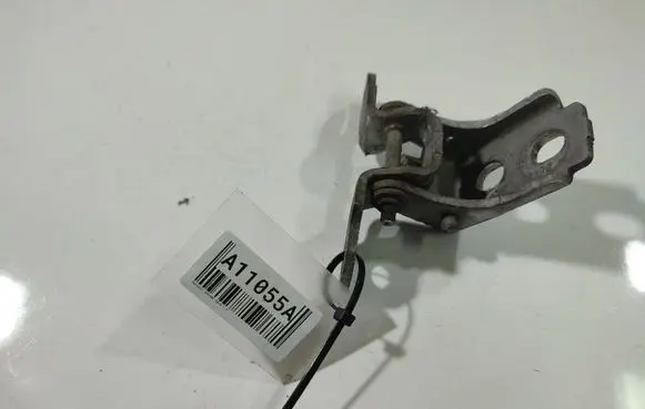 Renault Megane III Rear door lower hinge 