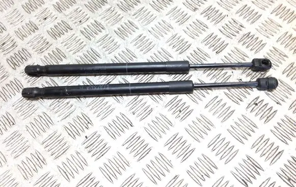 Front bonnet/hood damper/strut