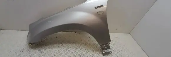 Suzuki Grand Vitara II Fender