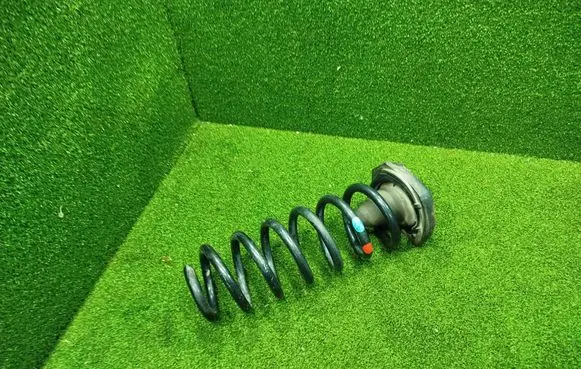 Rear coil spring