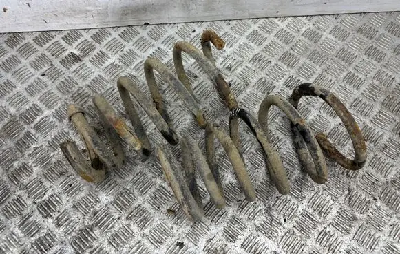 Rear coil spring
