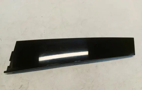 Other rear door trim element