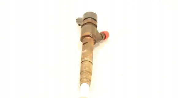 Renault Megane II Fuel injector 0445110230
