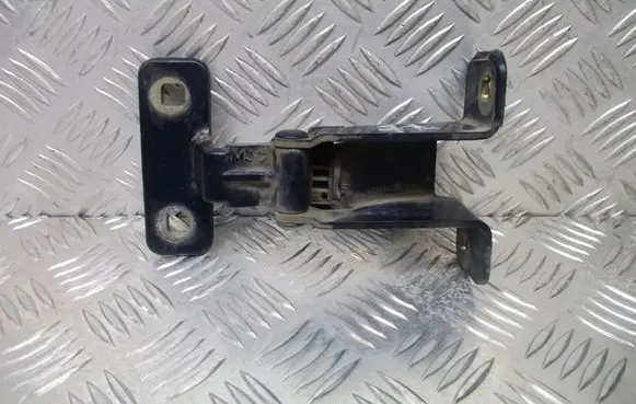 Dacia Dokker Rear door upper hinge 844009913R