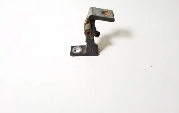 Audi Q5 SQ5 Front door lower hinge 
