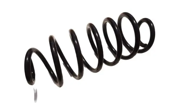 Ford Focus Rear coil spring 2251889