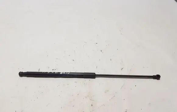 Toyota C-HR I Tailgate strut 68960F4010