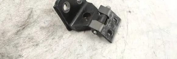 BMW X3 E83 Rear door lower hinge 
