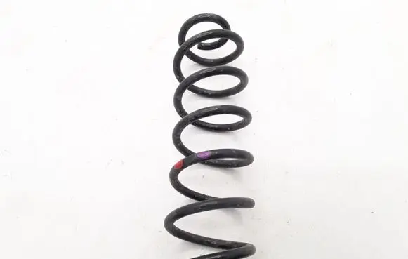 Renault Megane IV Rear coil spring 550201804R