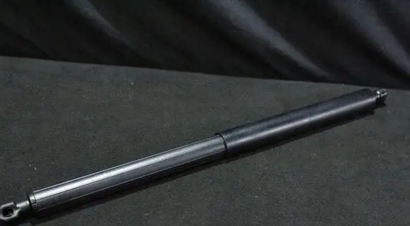 Tailgate strut