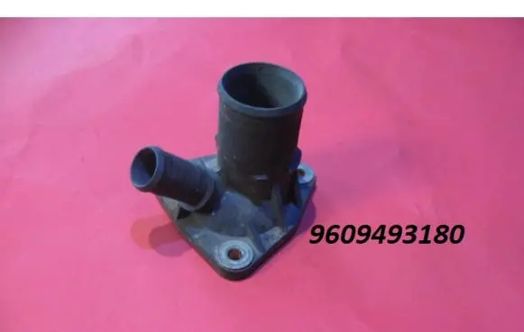 Thermostat/thermostat housing