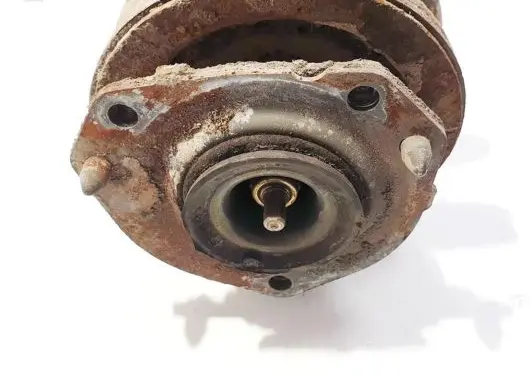 Coil spring mount
