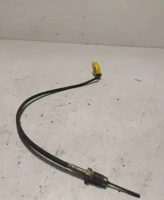 Peugeot 407 Exhaust gas temperature sensor