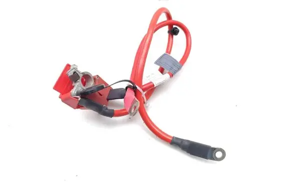 BMW 1 F20 F21 Positive cable (battery) 9253110 9253111