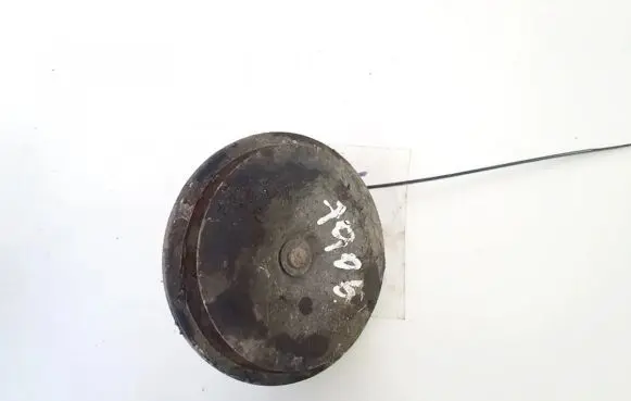 Horn signal