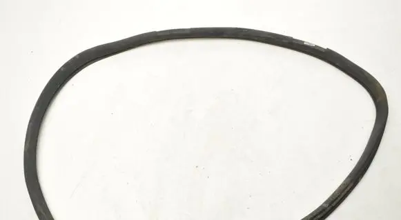 Mercedes-Benz AMG GT R190 C190 Rubber seal front door (on door) A1906970451
