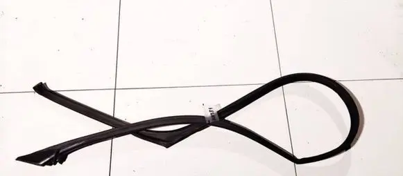 Renault Laguna II Rubber seal front coupe door 