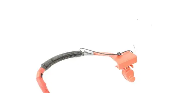 Positive wiring loom