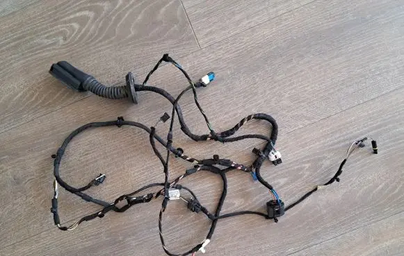 Front door wiring loom