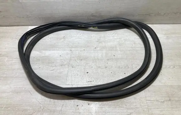 Citroen C3 Aircross Front door rubber seal