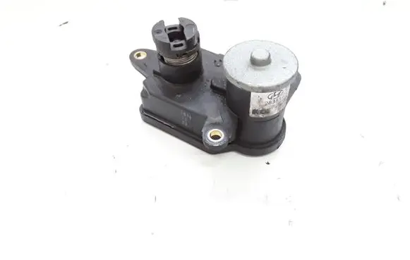KIA Sorento Intake manifold valve actuator/motor 283812F000