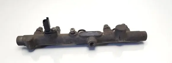 Peugeot 406 Fuel main line pipe 0445214010