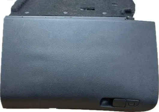 Dodge Charger Glove box 1190922DX9AB