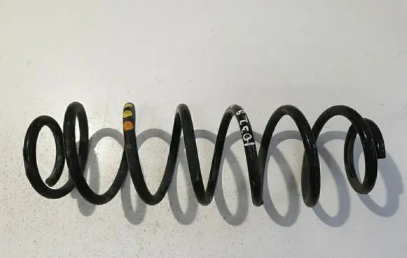 Rear coil spring