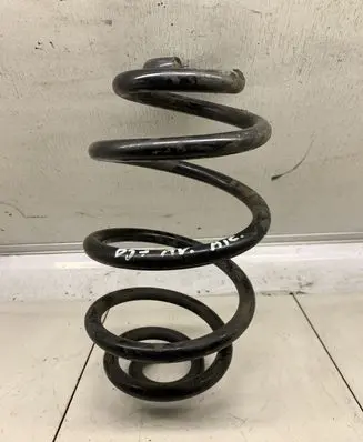 Volkswagen PASSAT B5.5 Rear coil spring