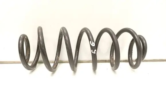 Rear coil spring