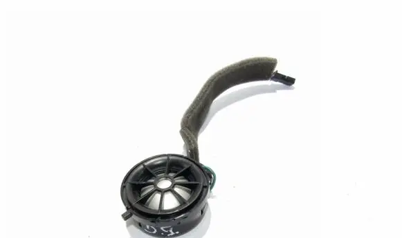 Land Rover Range Rover Sport L320 Panel speaker XQN000130