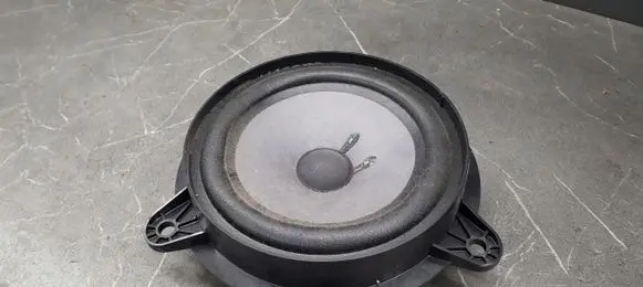 Nissan Murano Z50 Rear door speaker 28156am900