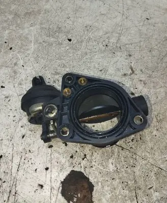 Throttle body valve
