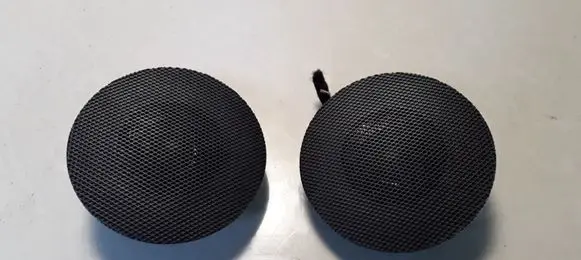 Citroen C4 I Panel speaker 1197000
