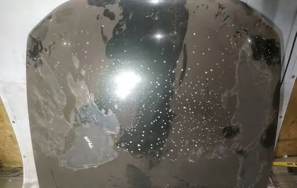 Engine bonnet/hood