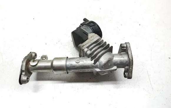 EGR valve