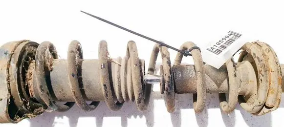 Rear coil spring
