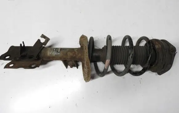 Nissan Qashqai Rear shock absorber with coil spring 54654ter4345