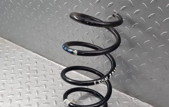 Front coil spring