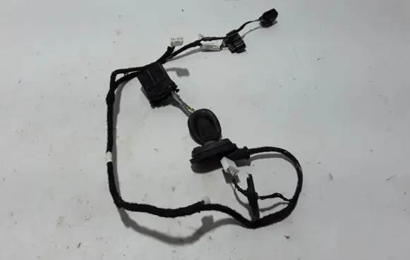 Other wiring loom
