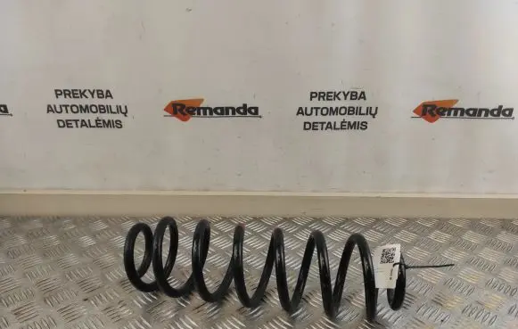 Toyota RAV 4 (XA50) Rear coil spring