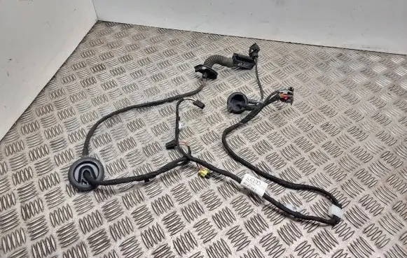 Audi A1 Front door wiring loom 8x1971030