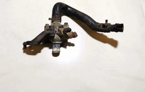 Renault Scenic I Engine coolant pipe/hose