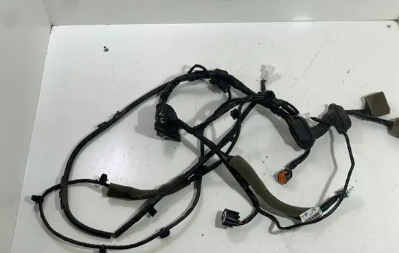 Renault Koleos I Front door wiring loom 24125JY41C