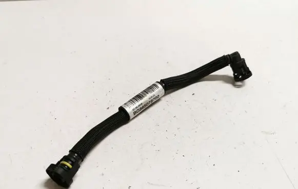 BMW X1 F48 F49 Vacuum line/pipe/hose 865078702 BG865078702