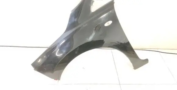 Nissan Leaf I (ZE0) Fender